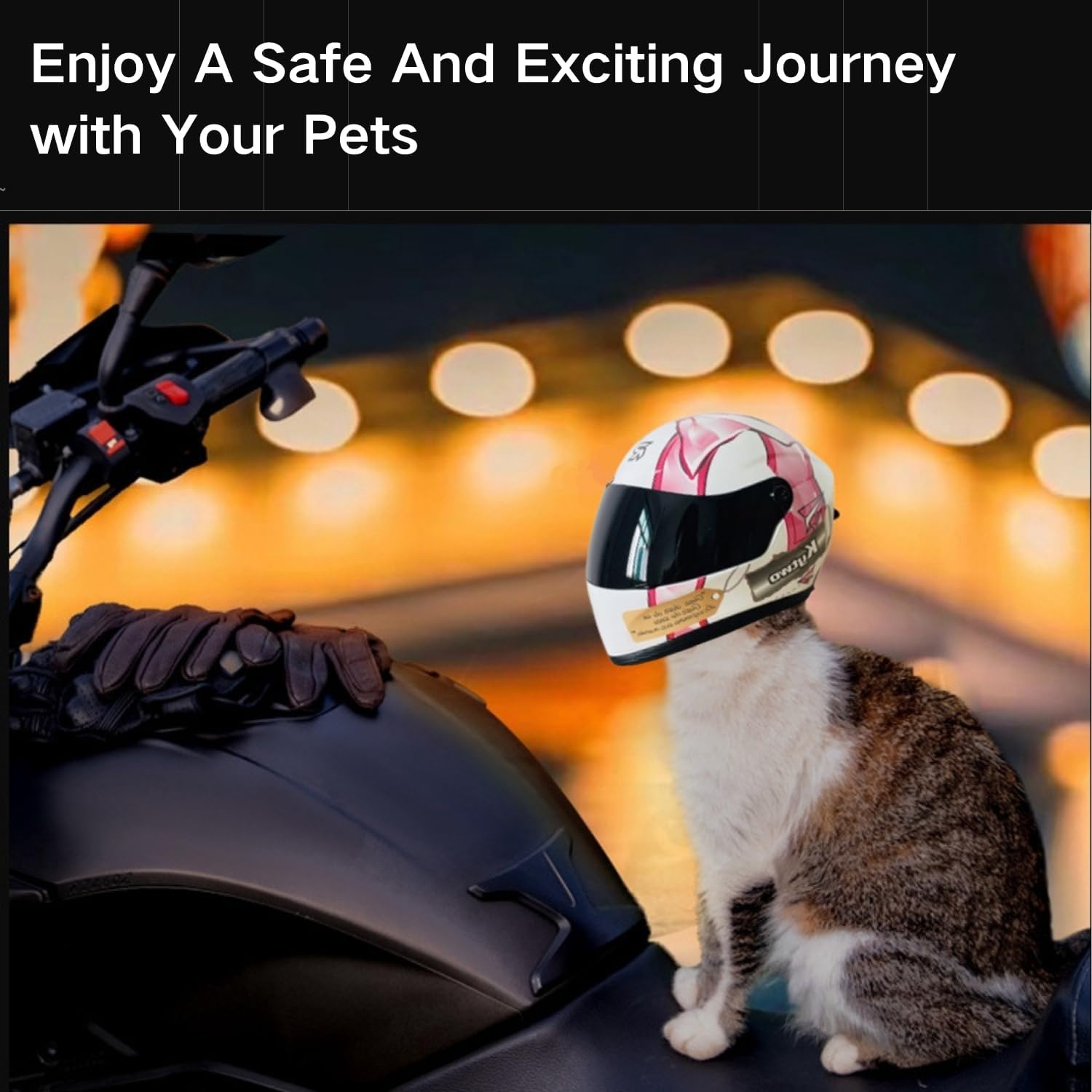 Cat Motorcycle Helmet Full Fac - Motorcycle Gear Dogs recension och pris
