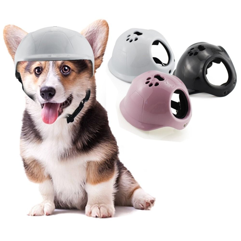 Plastic Pet Dog Helmets With E - Motorcycle Gear Dogs recension och pris