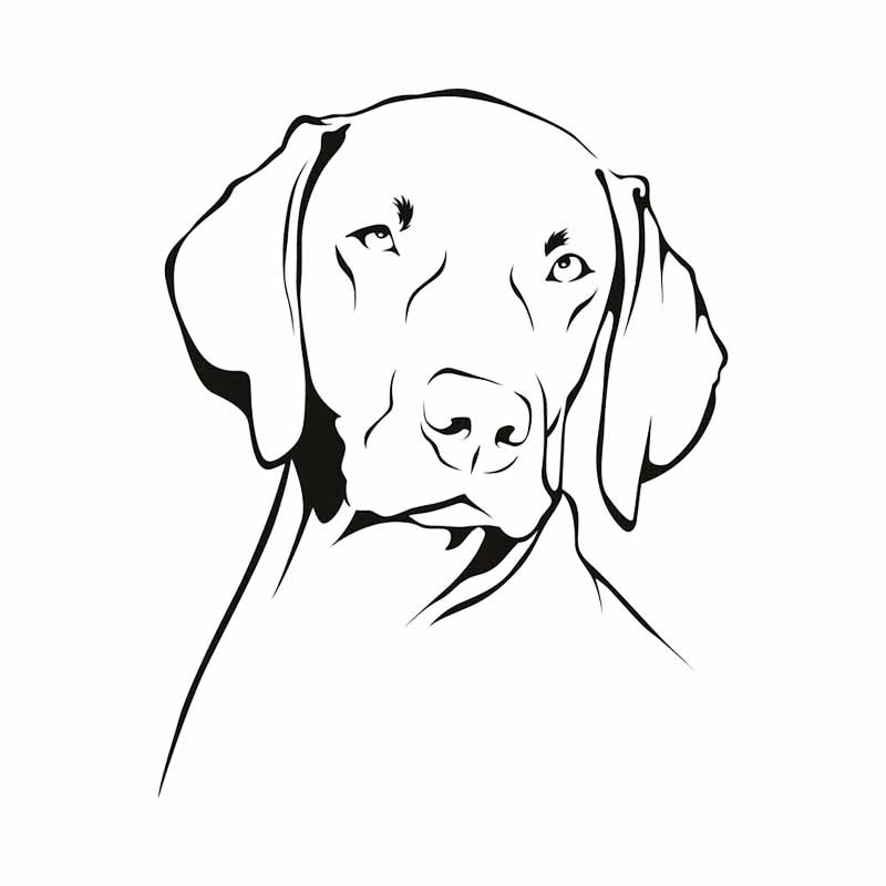 Weimaraner Dog Outline Waterpr - Motorcycle Gear Dogs recension och pris