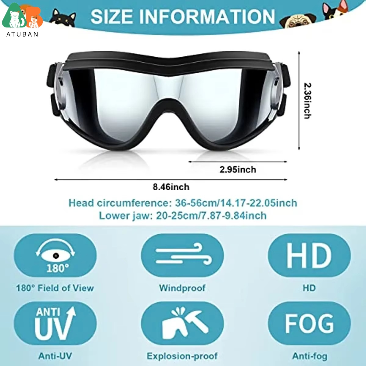Dog Sunglasses Pet Helmet Set  - Motorcycle Gear Dogs recension och pris