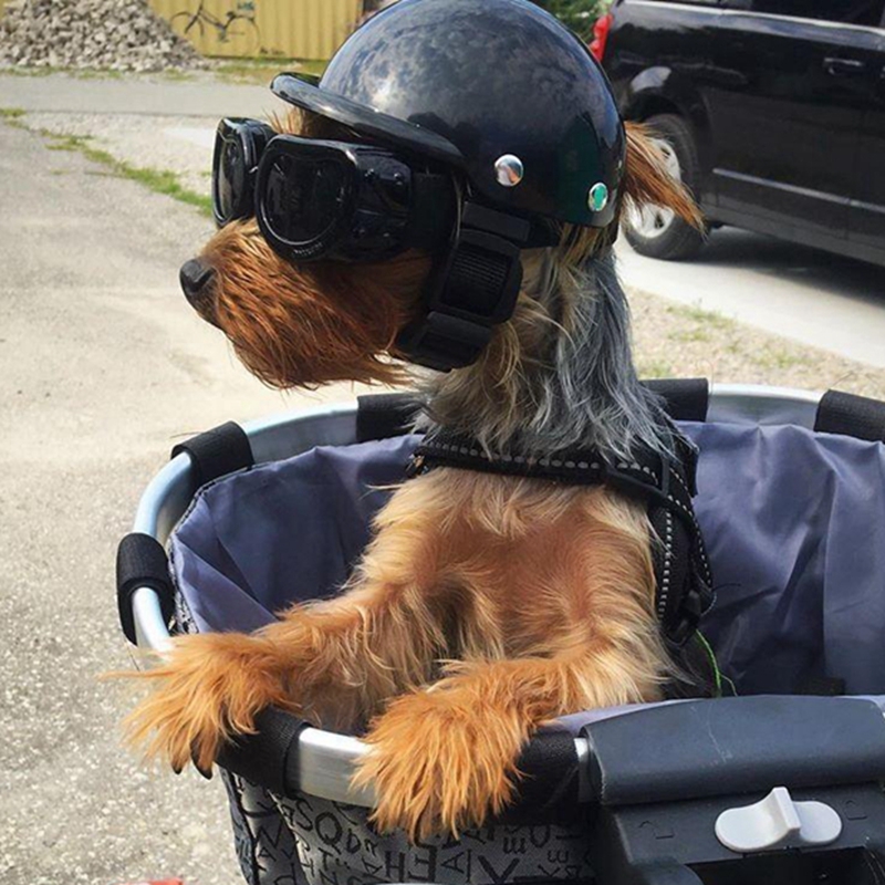 Pet Helmets Dog Cat Bicycle Mo - Motorcycle Gear Dogs recension och pris