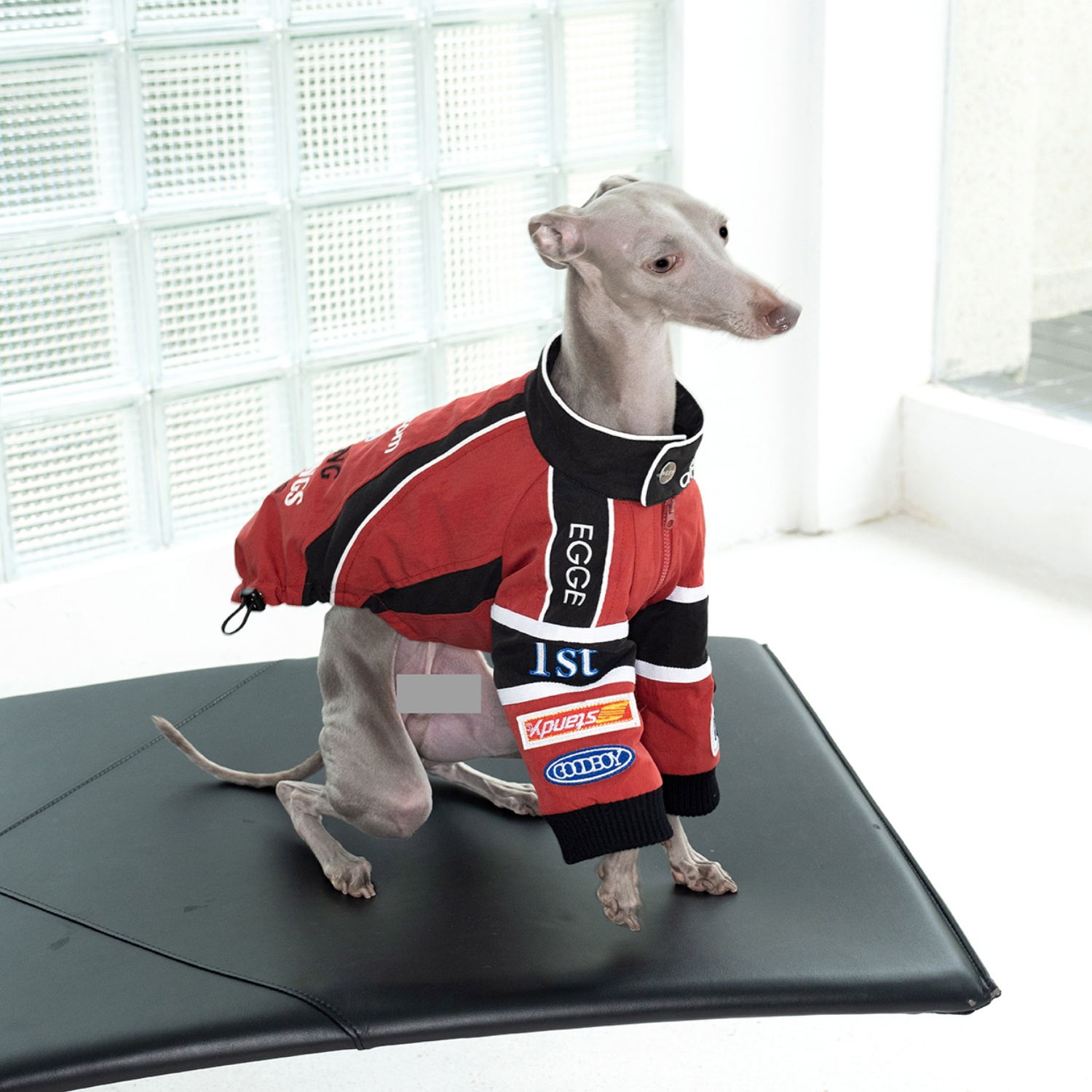 Red Retro Racing Suit for Dogs - Motorcycle Gear Dogs recension och pris