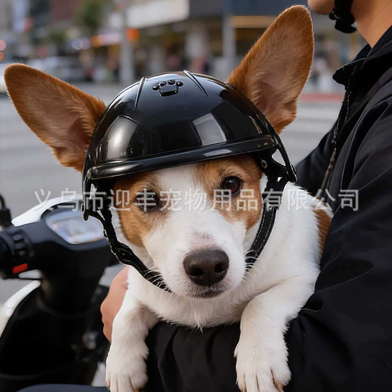 Pink Motorcycle Pet Helmet wit - Motorcycle Gear Dogs recension och pris