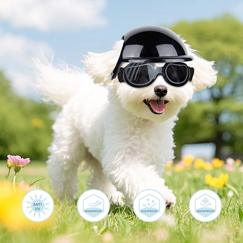 Dog Helmet and Sunglasses Sets - Motorcycle Gear Dogs recension och pris