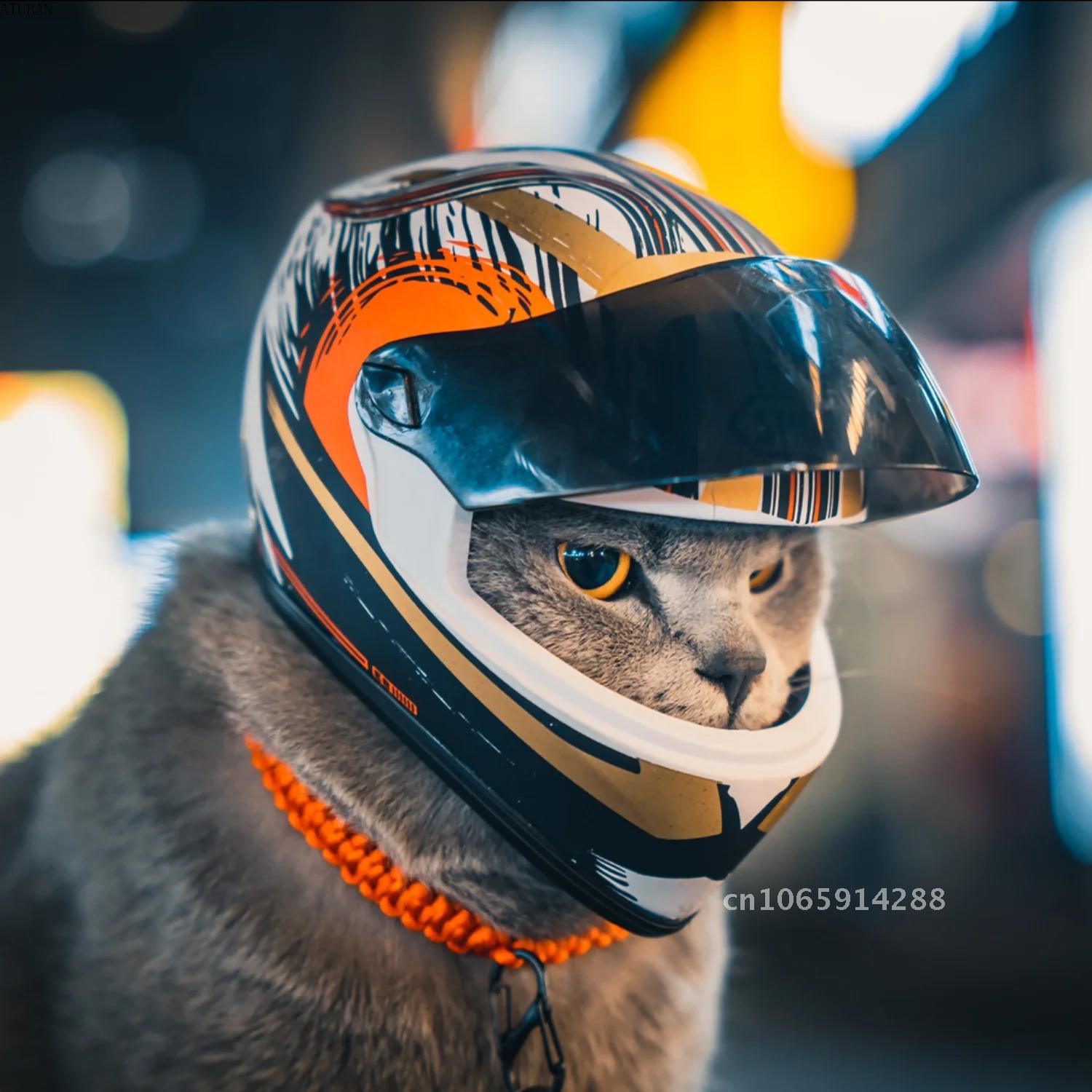 Photo Pet Helmets,Cat Helmet,D - Motorcycle Gear Dogs recension och pris
