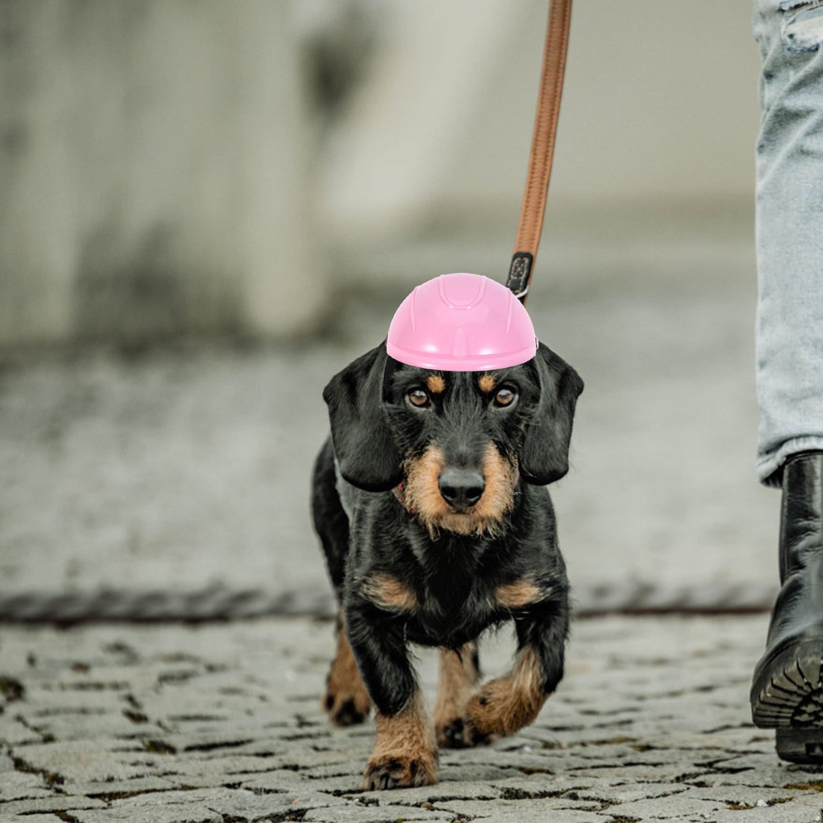 Small Dog Adjustable Pet Safet - Motorcycle Gear Dogs recension och pris