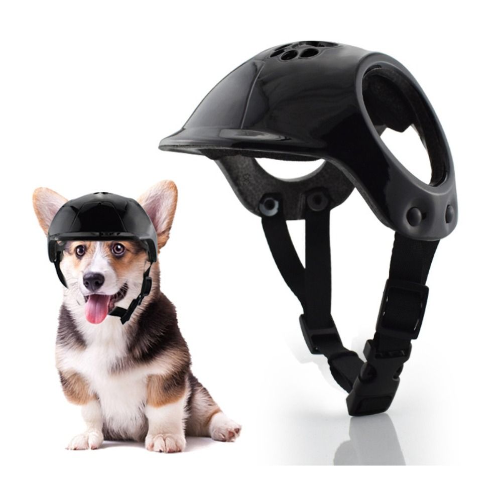 Plastic Pet Dog Helmets With E - Motorcycle Gear Dogs recension och pris