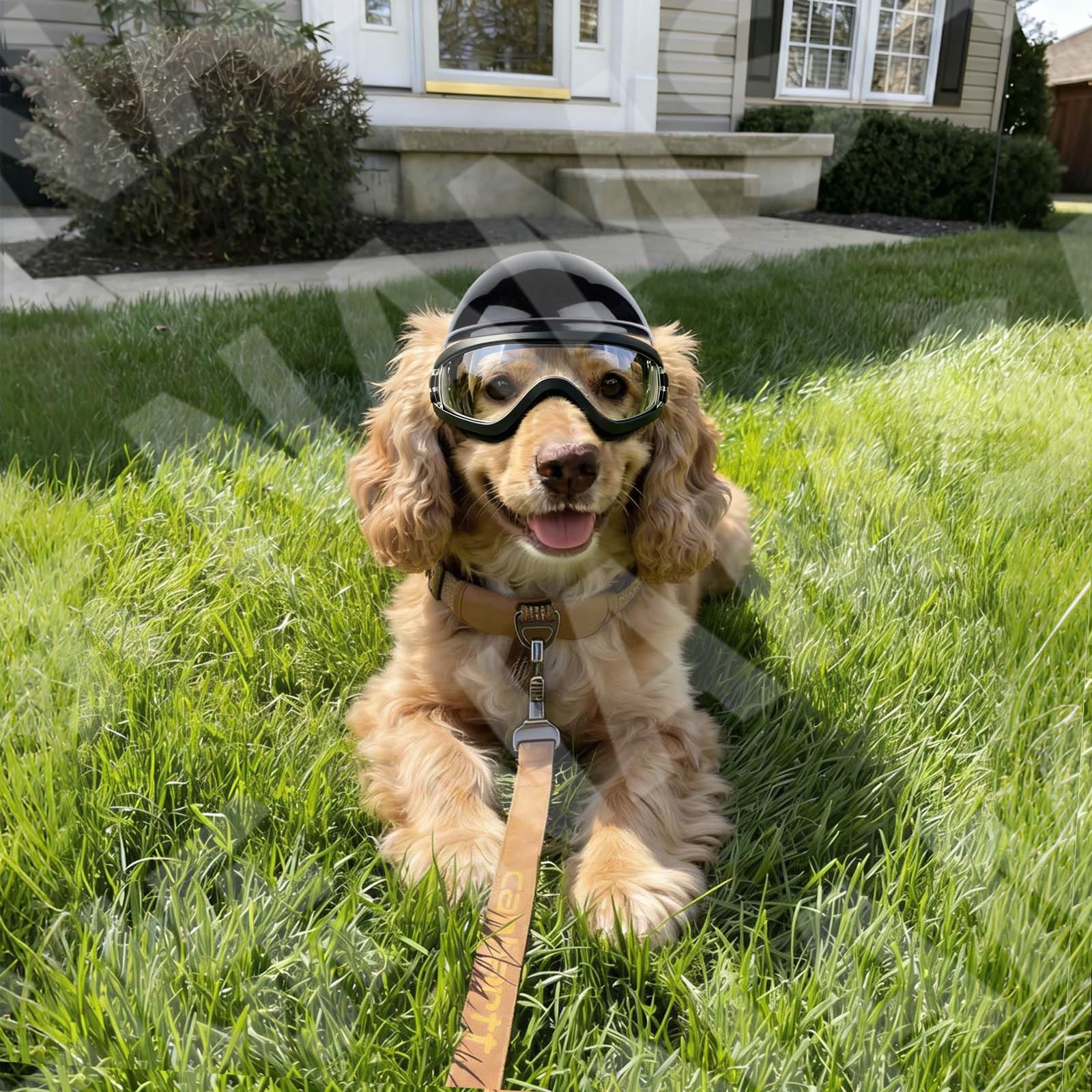 Dog Sunglasses and Pet Helmet  - Motorcycle Gear Dogs recension och pris