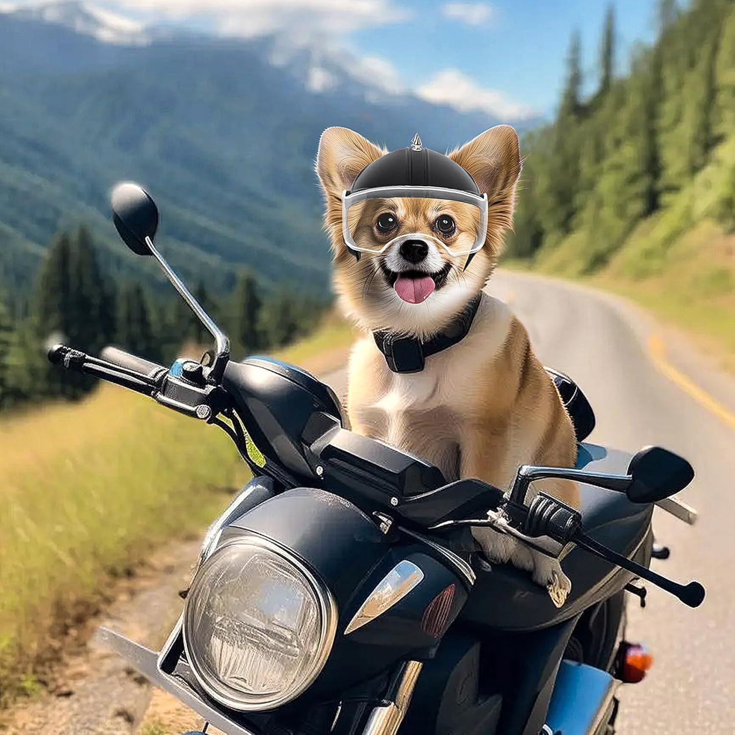 Small Dog Helmet Pet Motorcycl - Motorcycle Gear Dogs recension och pris